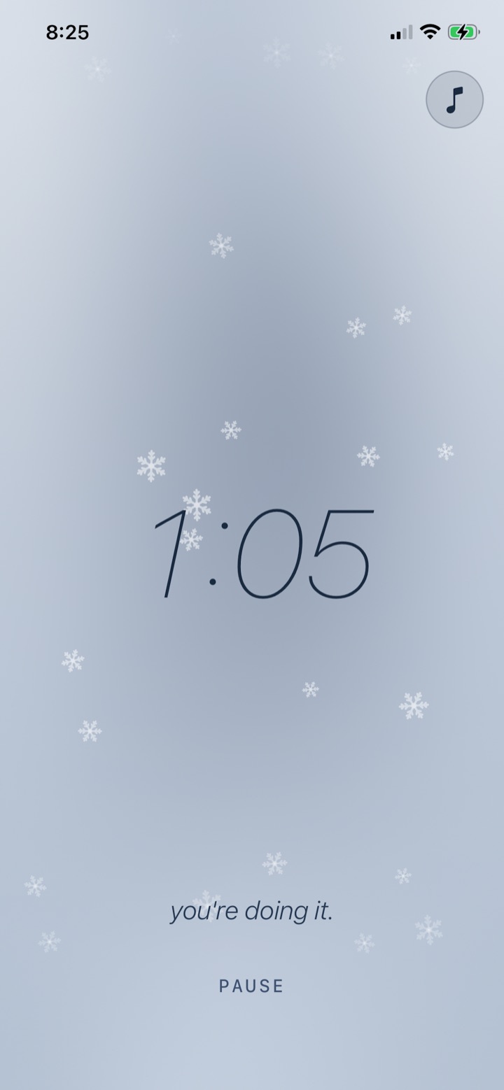 The snow theme